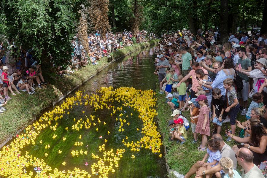 Enten im Wasser kurz nach dem Start